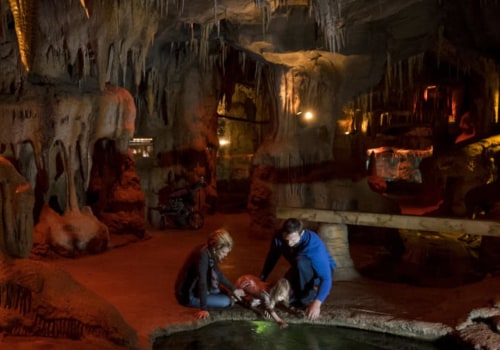 Exploring the Best Omaha Nebraska Communities for Entertainment